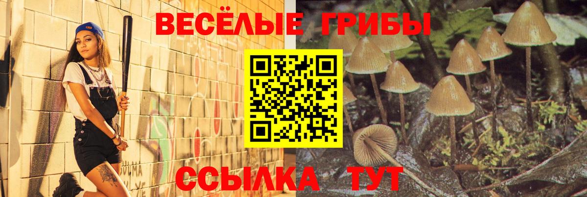Псилоцибиновые грибы мухоморы Кулебаки